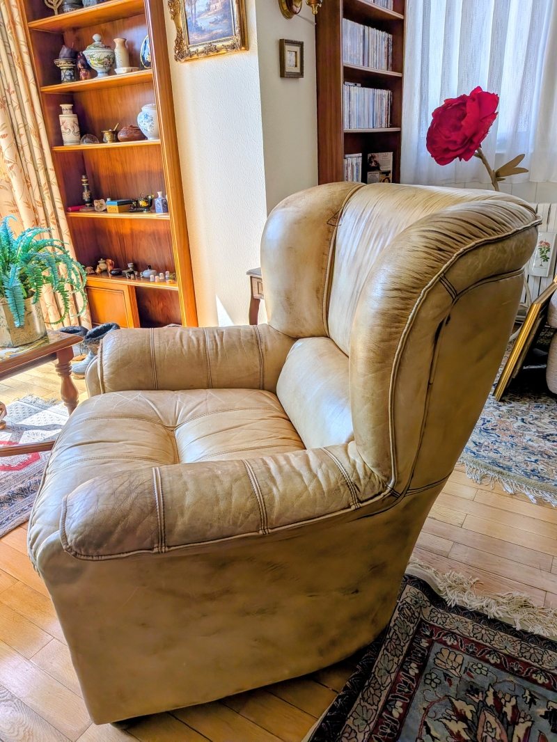 Sofá y sillón en piel